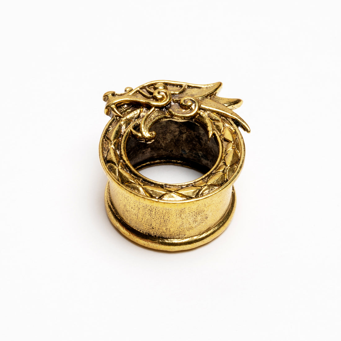 golden brass dragon flesh tunnel