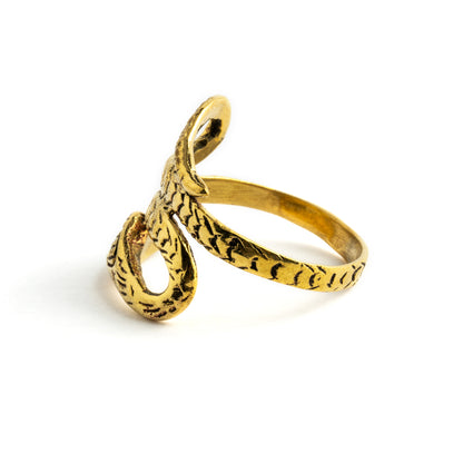 Brass Ring Snake