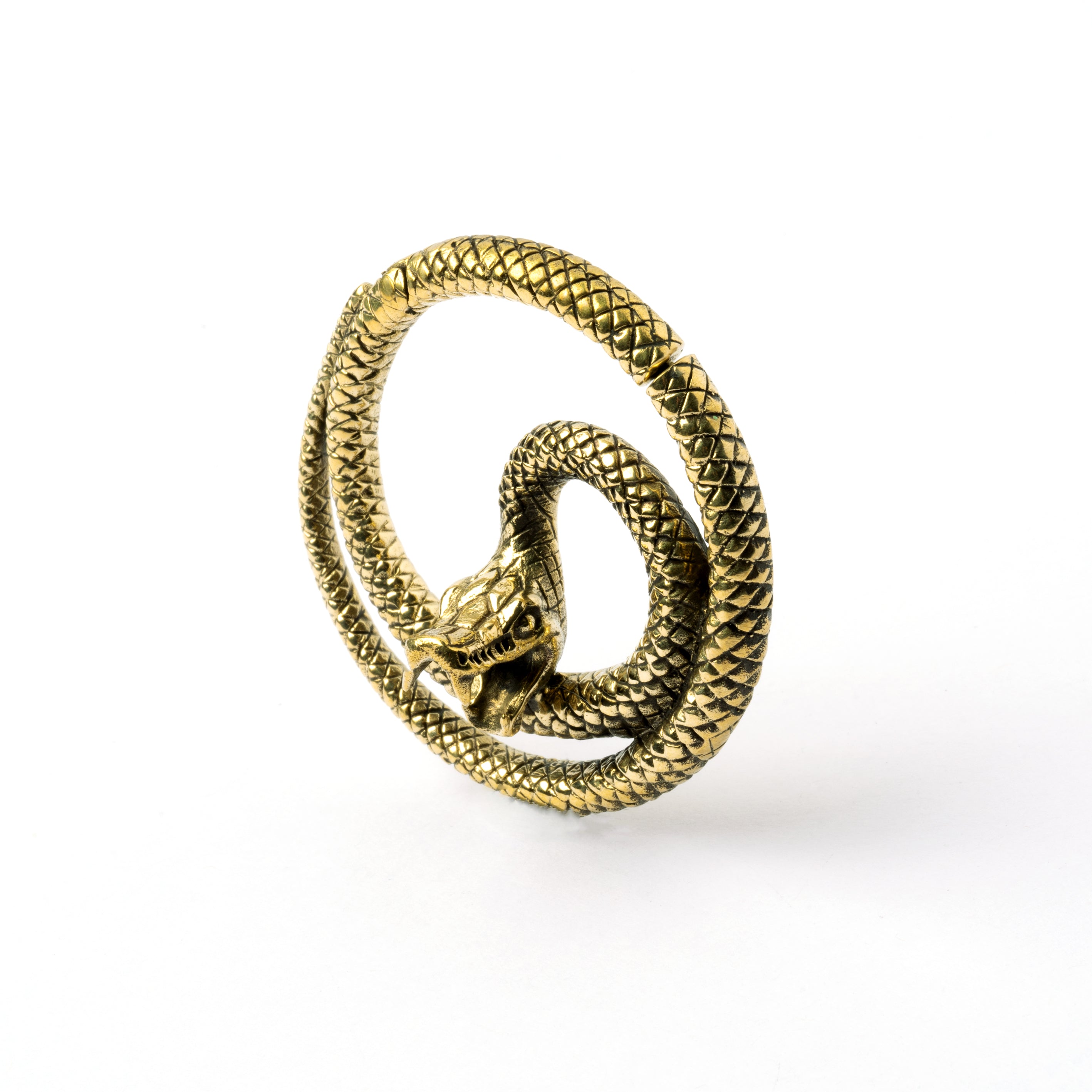 single golden brass spiralling snake hoop hanger right side view