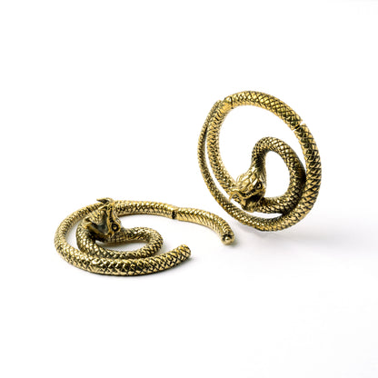 pair of golden brass spiralling snake hoop hangers front and side view