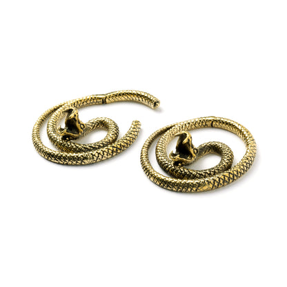 pair of golden brass spiralling snake hoop hangers side and closing mechanism view