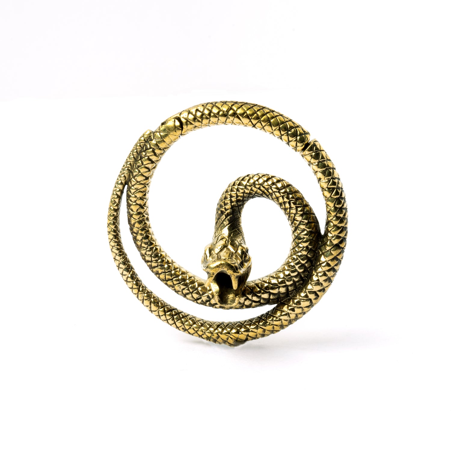 single golden brass spiralling snake hoop hanger frontal view