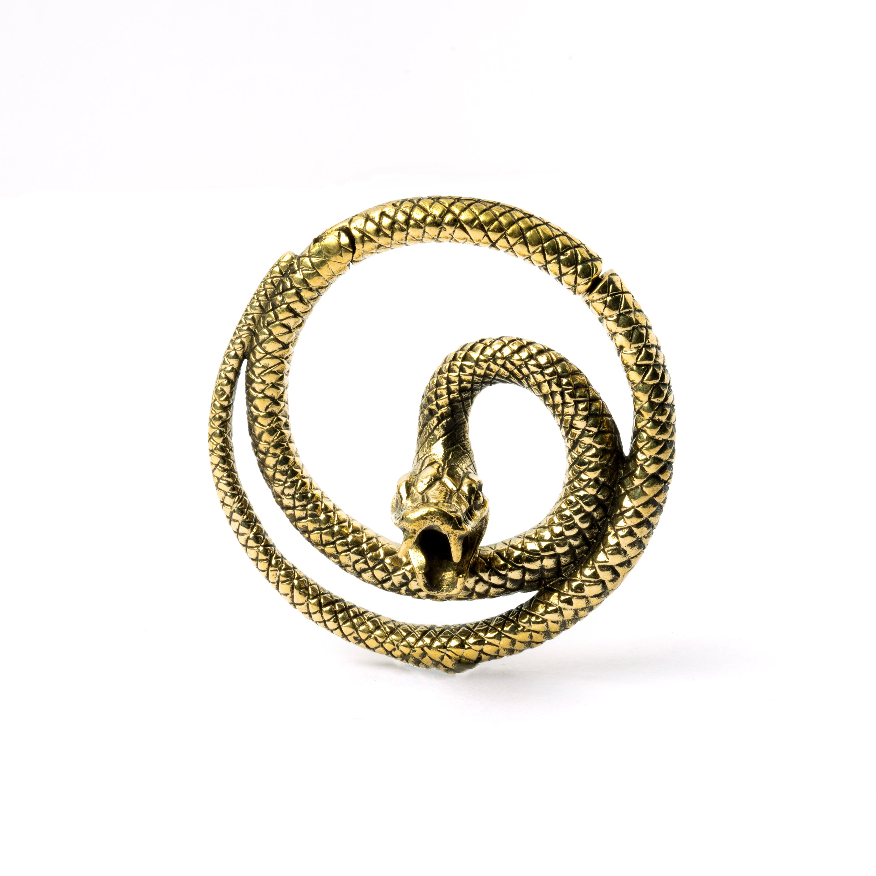 single golden brass spiralling snake hoop hanger frontal view