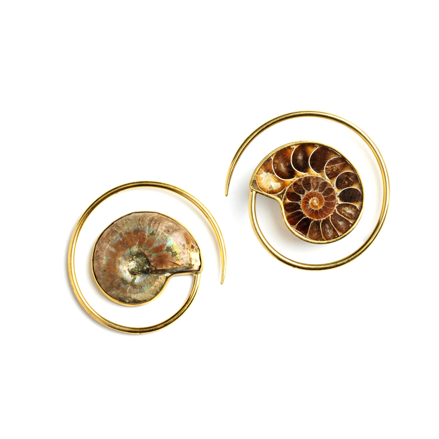 pair of golden spirals ear weights hangers with Ammonite fossil front and back view