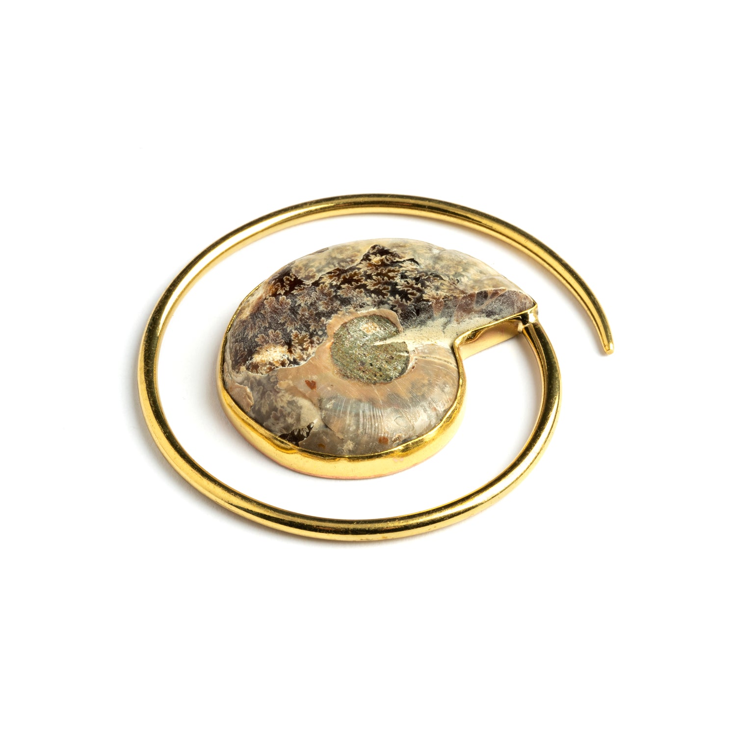single golden spiral ear weight hanger with Ammonite fossil back view