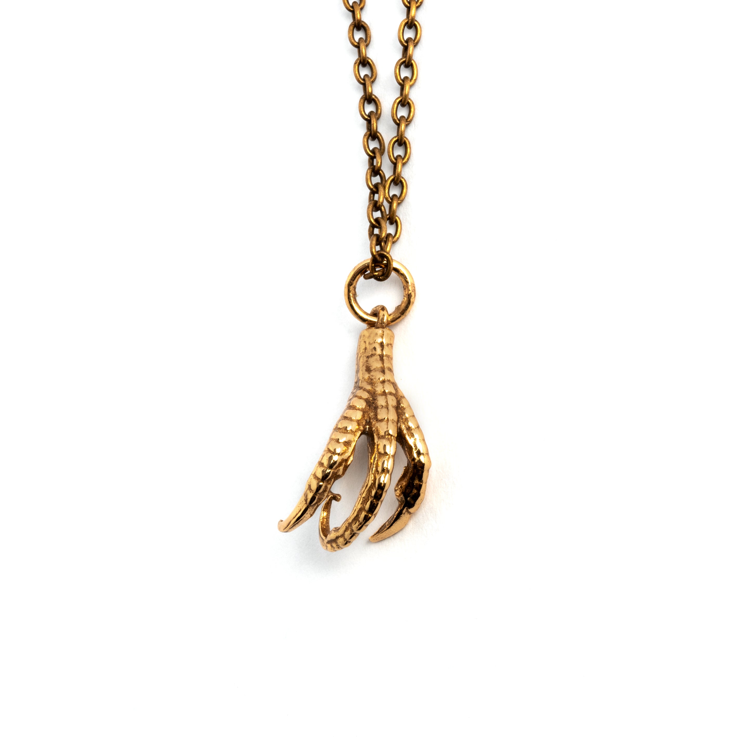 Bird Claw charm Necklace frontal view
