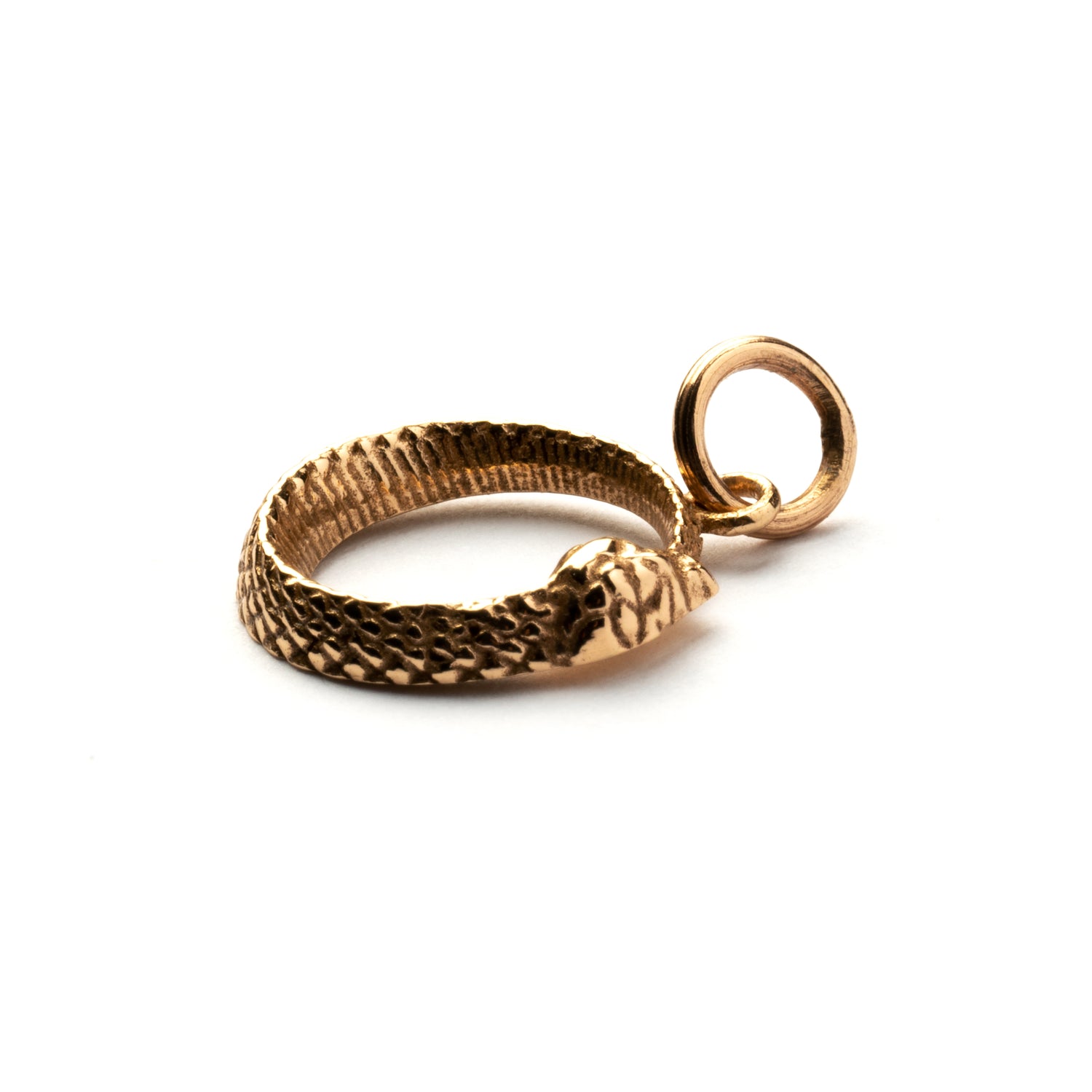 Tiny Bronze Ouroboros snake Charm necklace side  view