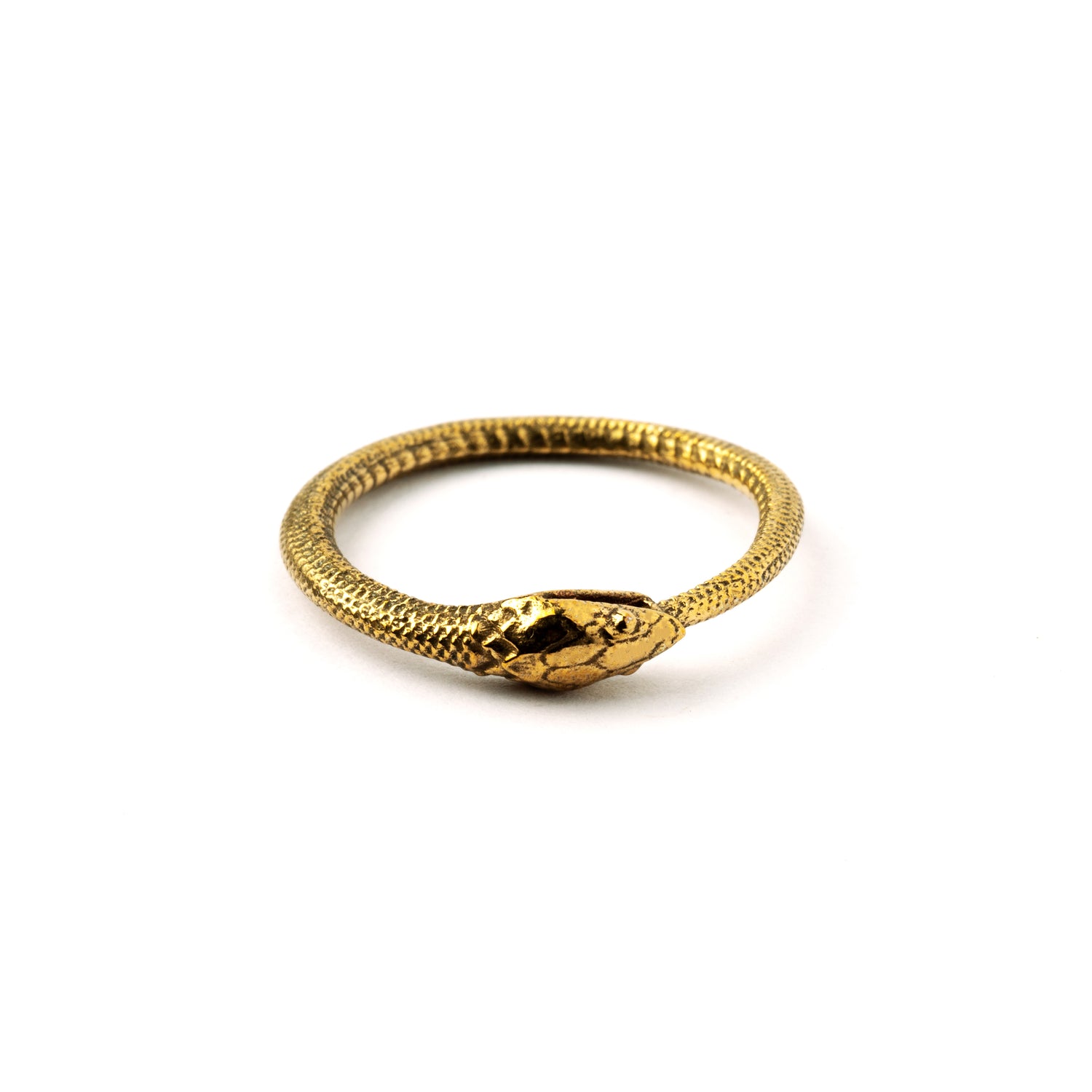 Bronze Ouroboros snake band ring frontal view