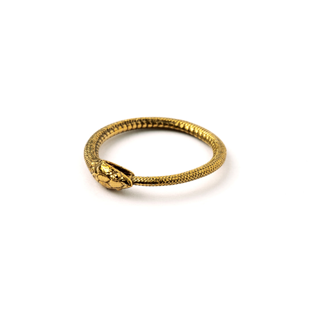 Bronze Ouroboros snake band ring left side view