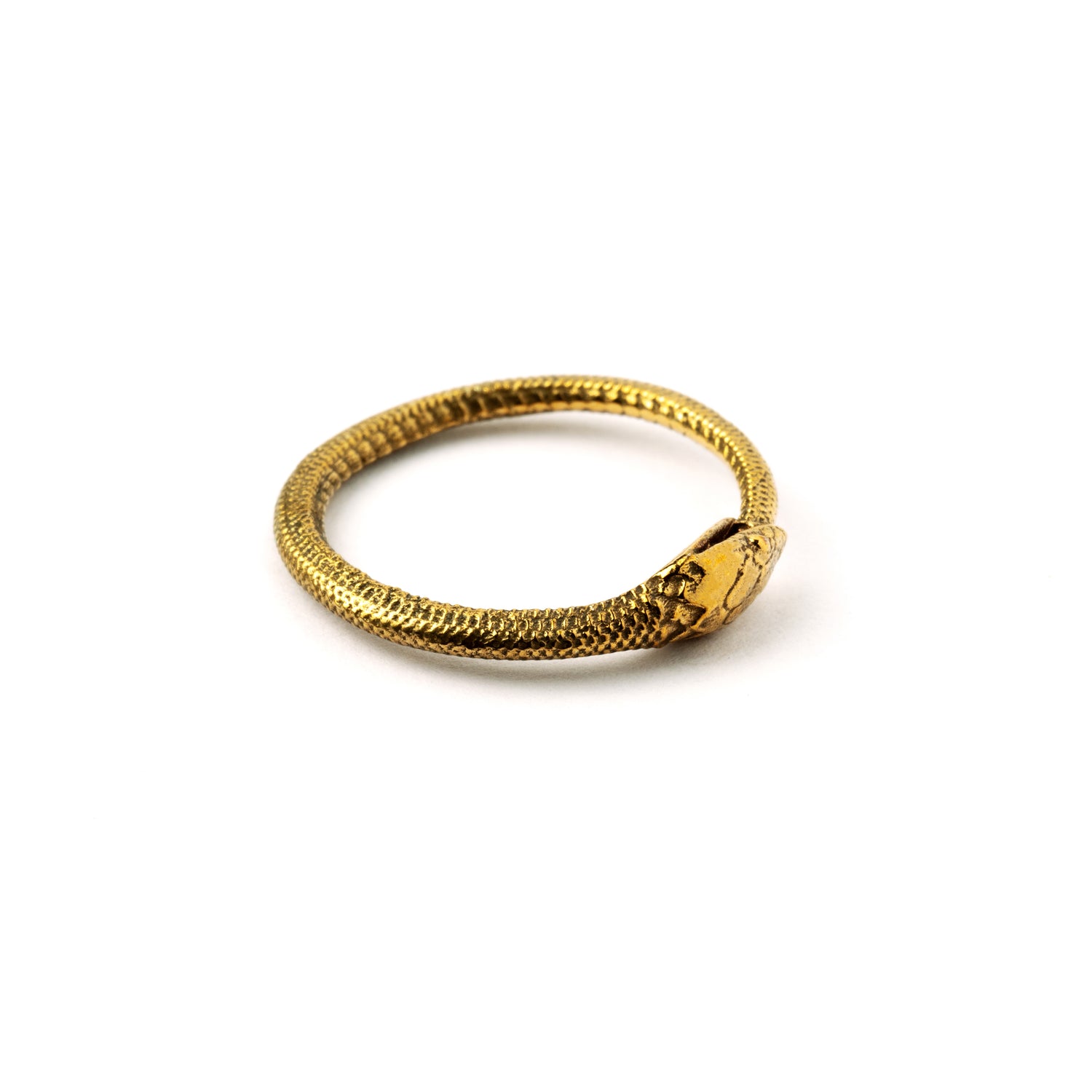Bronze Ouroboros snake band ring right side view