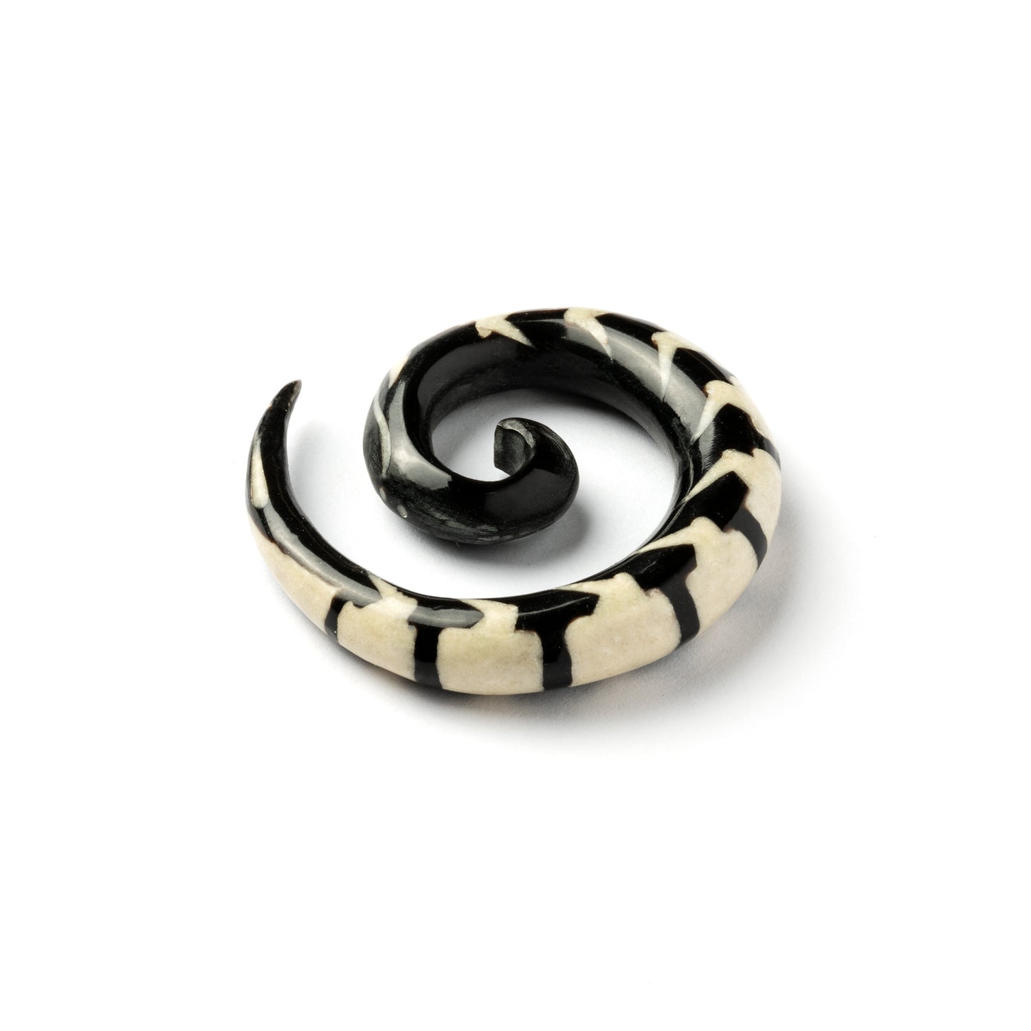 single spiral horn ear stretchers centipede shaped with bone inlay back view