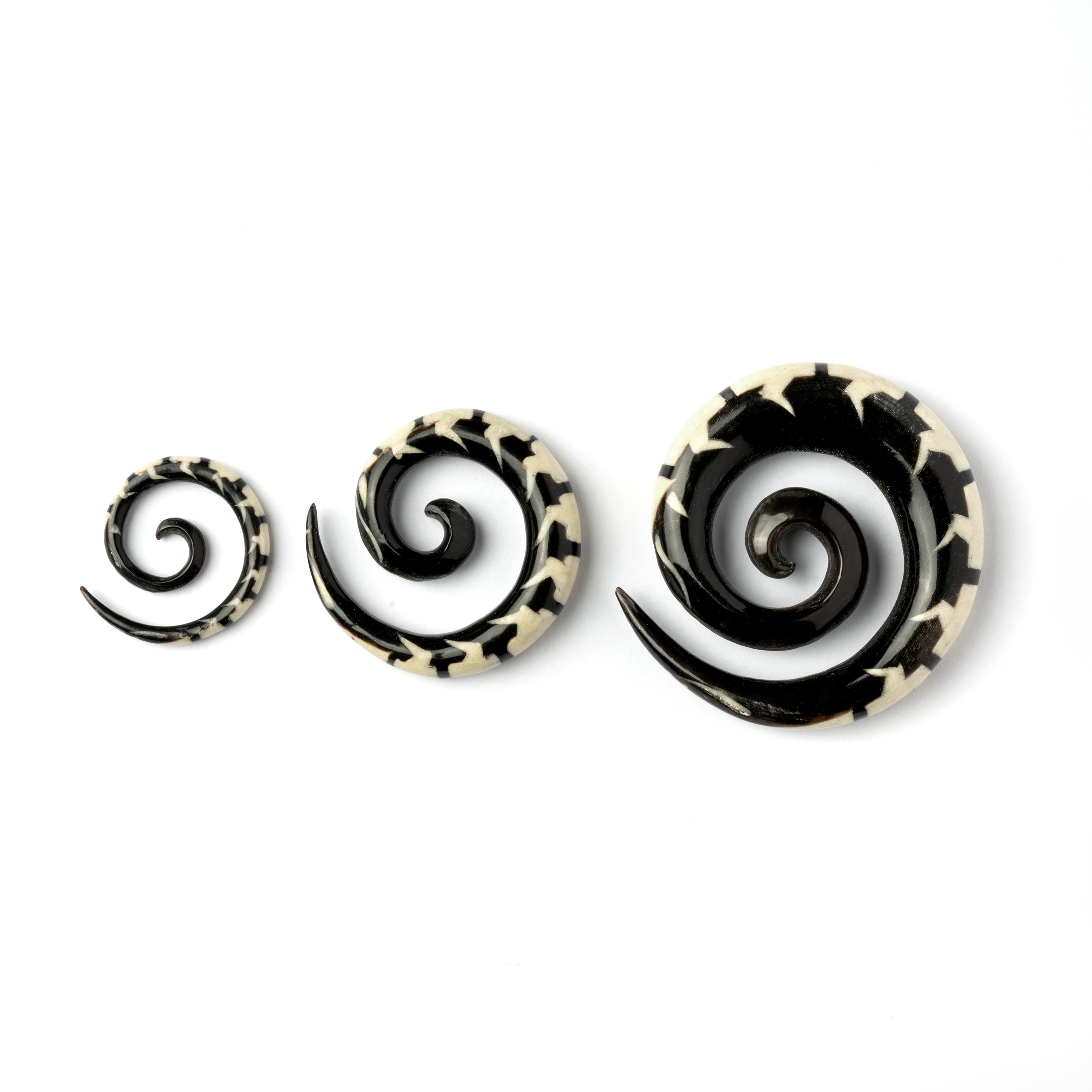 several sizes of spiral horn ear stretchers centipede shaped with bone inlay side view