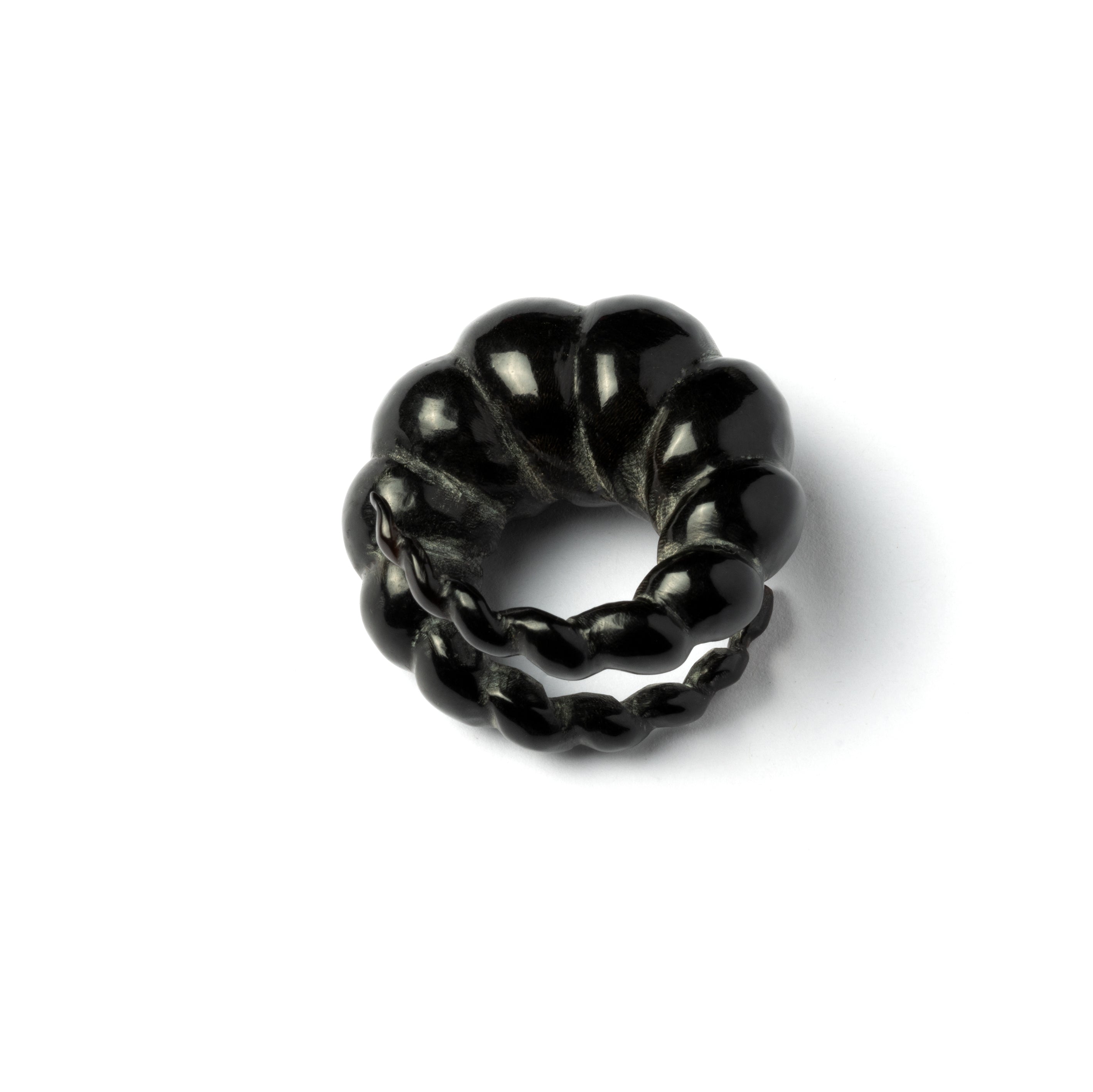 Circular Curled Horn Ear Stretchers