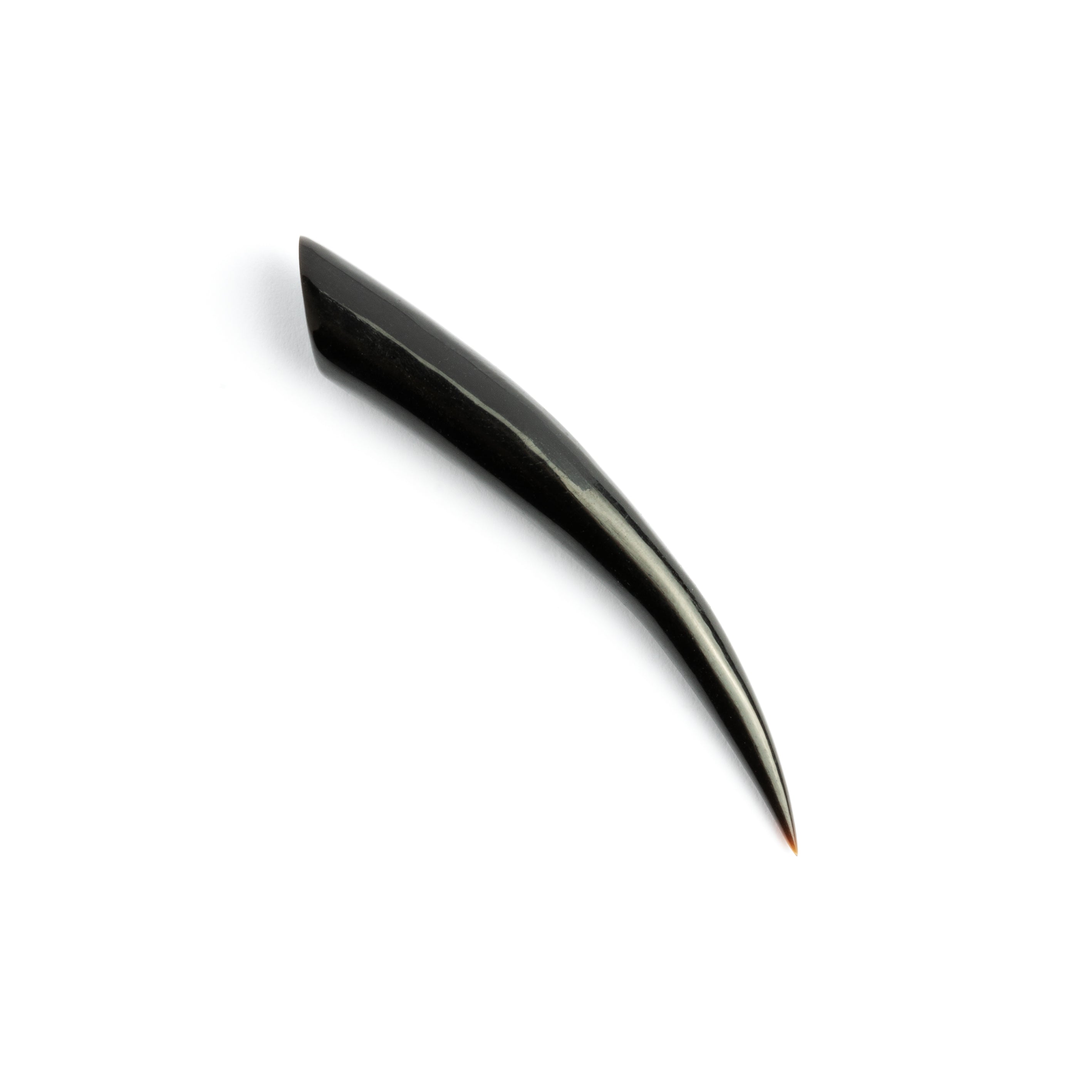 Horn Spike Ear Stretcher