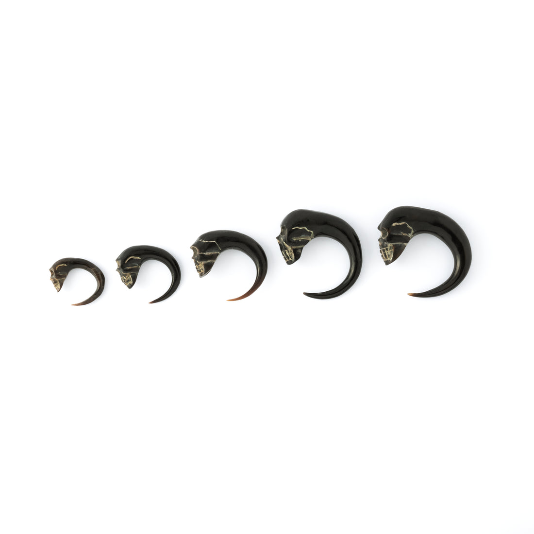 different sizes of horn skull hook ear stretchers side view