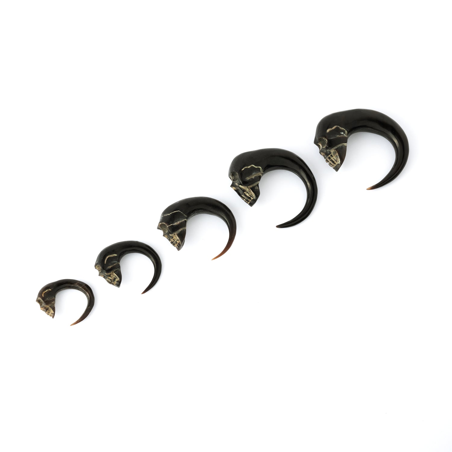 different sizes of horn skull hook ear stretchers side view