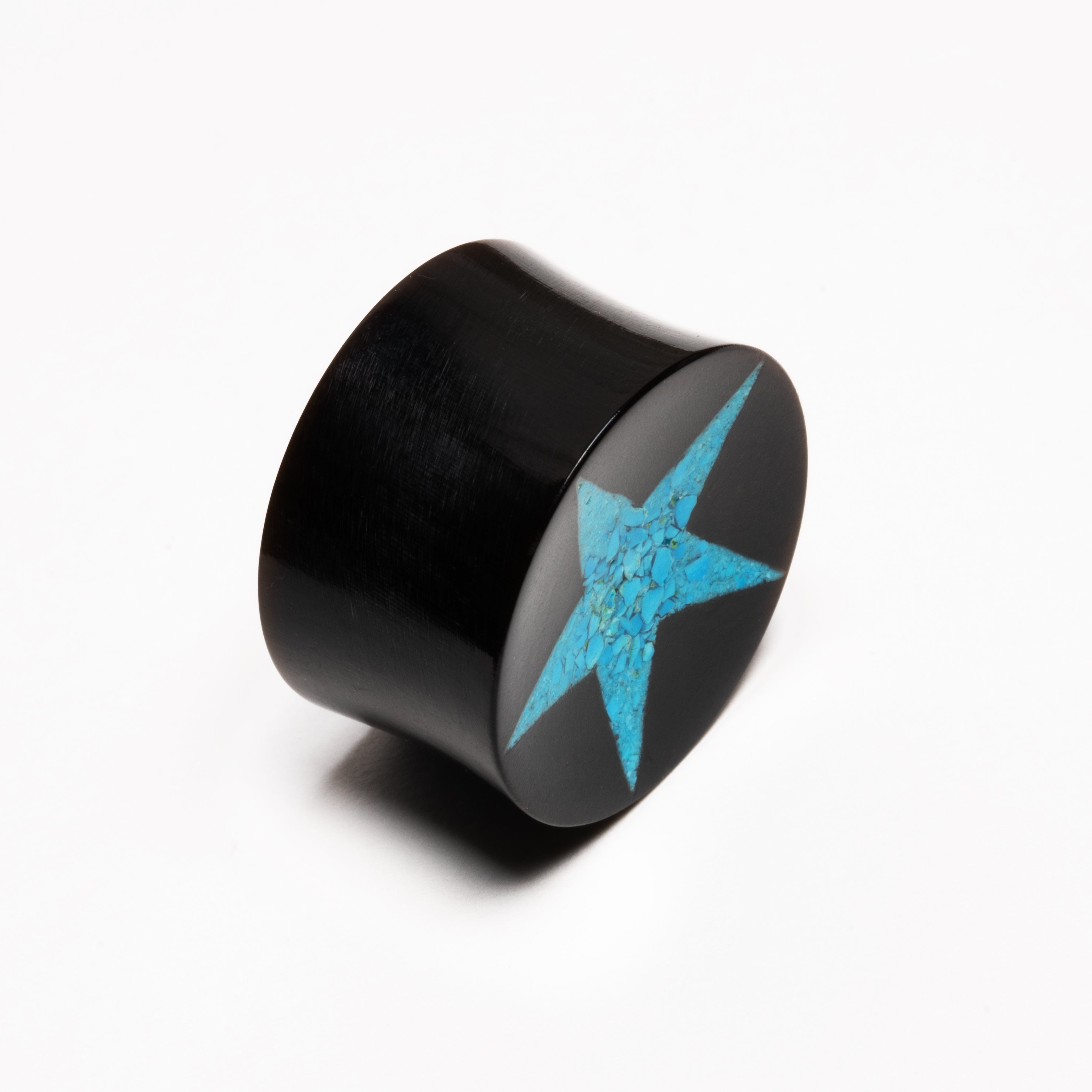 Horn and Turquoise Star Plugs