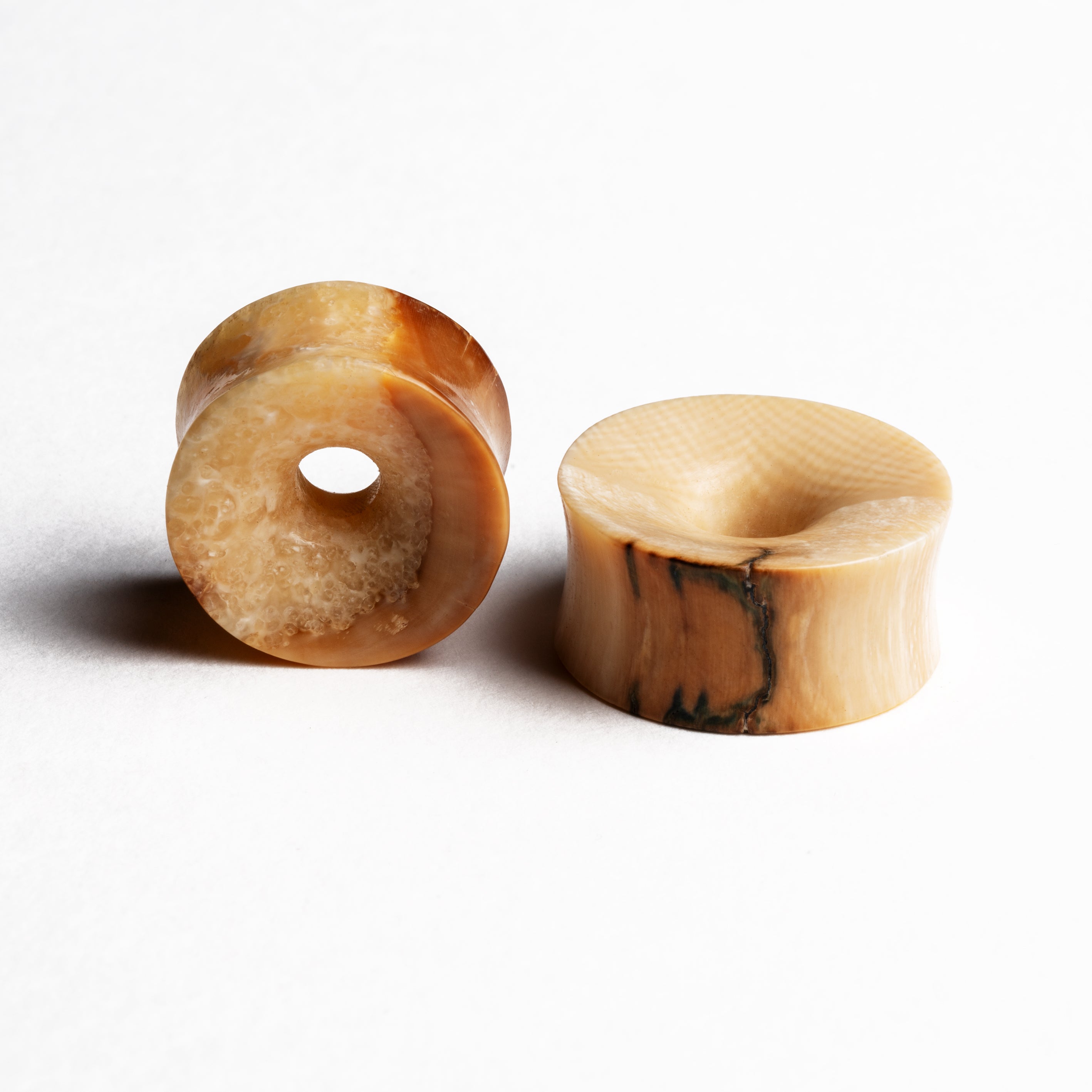 Mammoth Flesh Tunnel