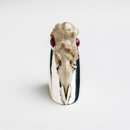 Raven Skull on chunky silver ring