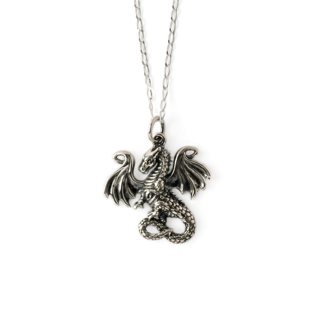 Dragon tale silver charm necklace frontal view