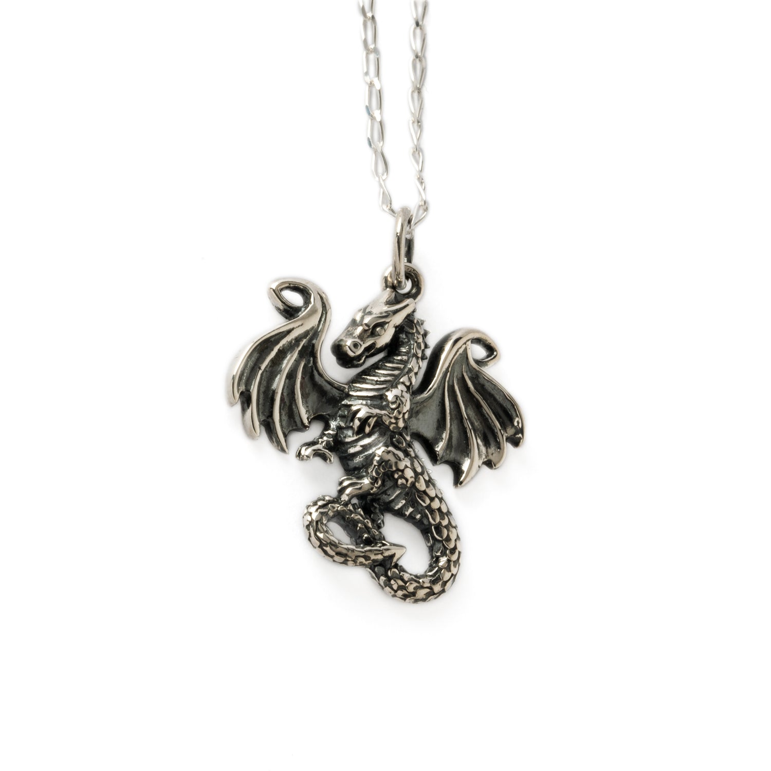 Dragon tale silver charm necklace front right view