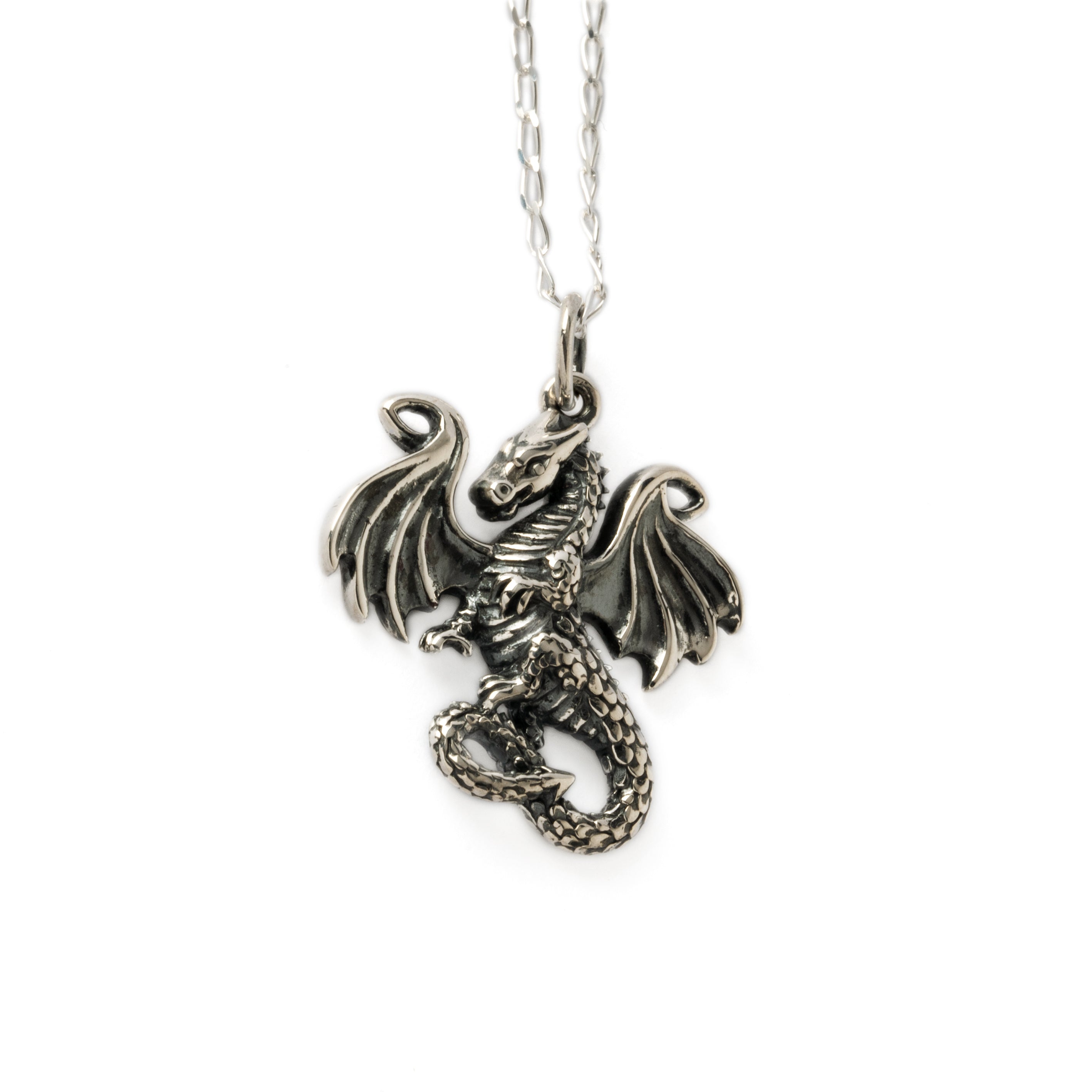 Dragon tale silver charm necklace front right view