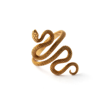 bronze Eden snake adjustable ring frontal view
