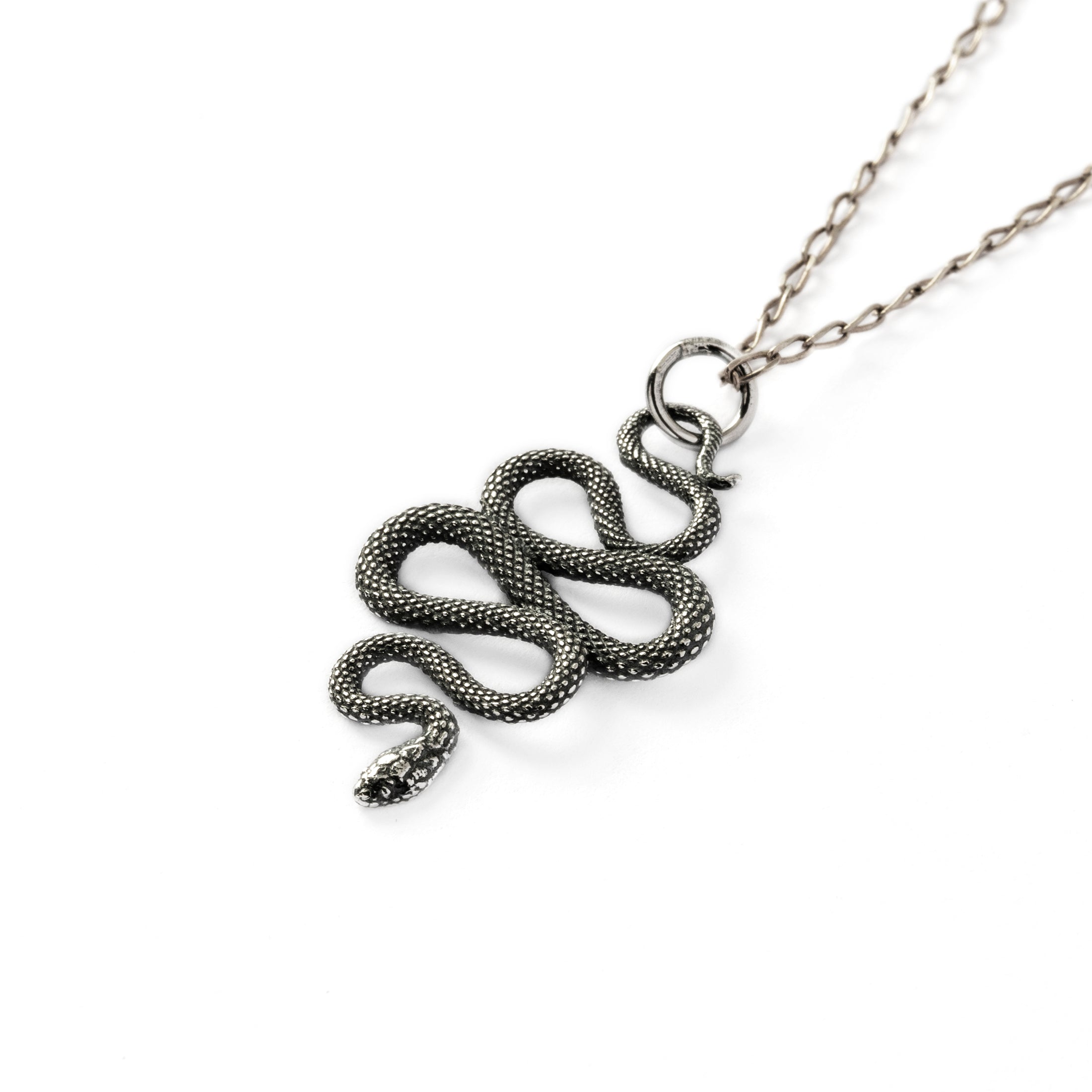 Eden Snake Silver Charm left side view