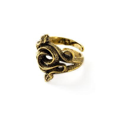 Golden brass Entwined Serpents adjustable ring left side view