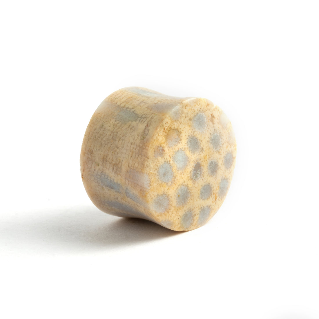 single Fossil Coral double flare stone ear plug right side  view