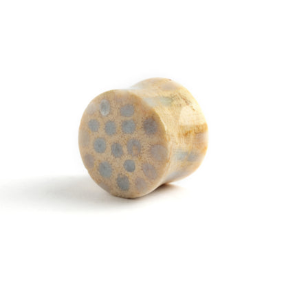 single Fossil Coral double flare stone ear plug back view 