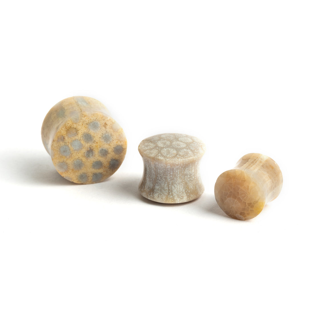 several sizes of Fossil Coral double flare stone ear plugs side and front view 