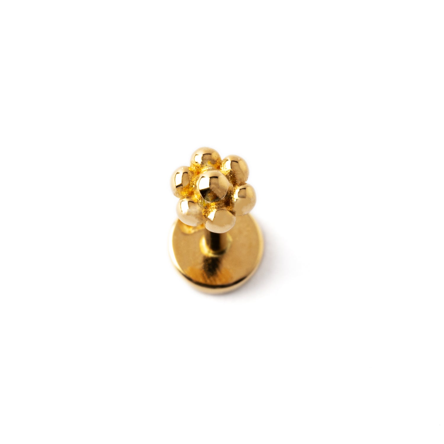 14k Gold internally threaded screw back earring 1.2mm (16g), 8mm, dots flower labret stud frontal view