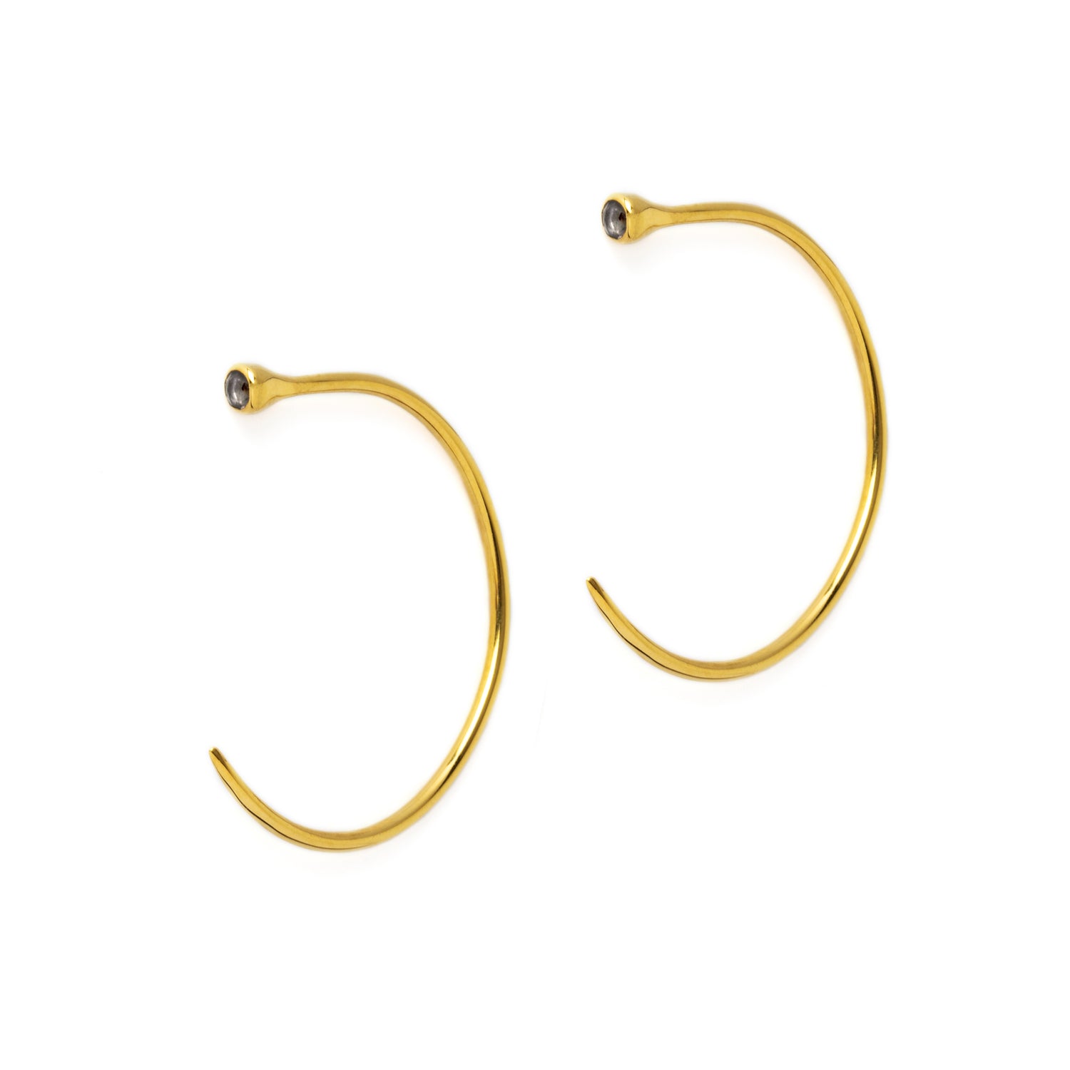 Gold Tawhio &amp; Iolite Earrings
