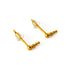 pair of Golden Newton surgical steel spheres ear studs