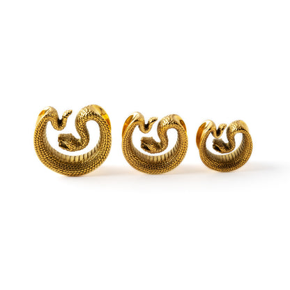 different sizes of golden surgical steel python snake plug tunnel frontal image