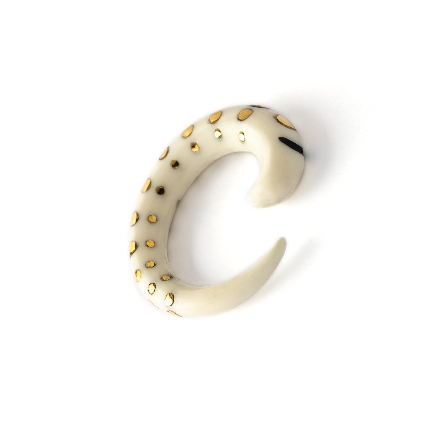 white bone taper ear stretcher with golden dots left side front view