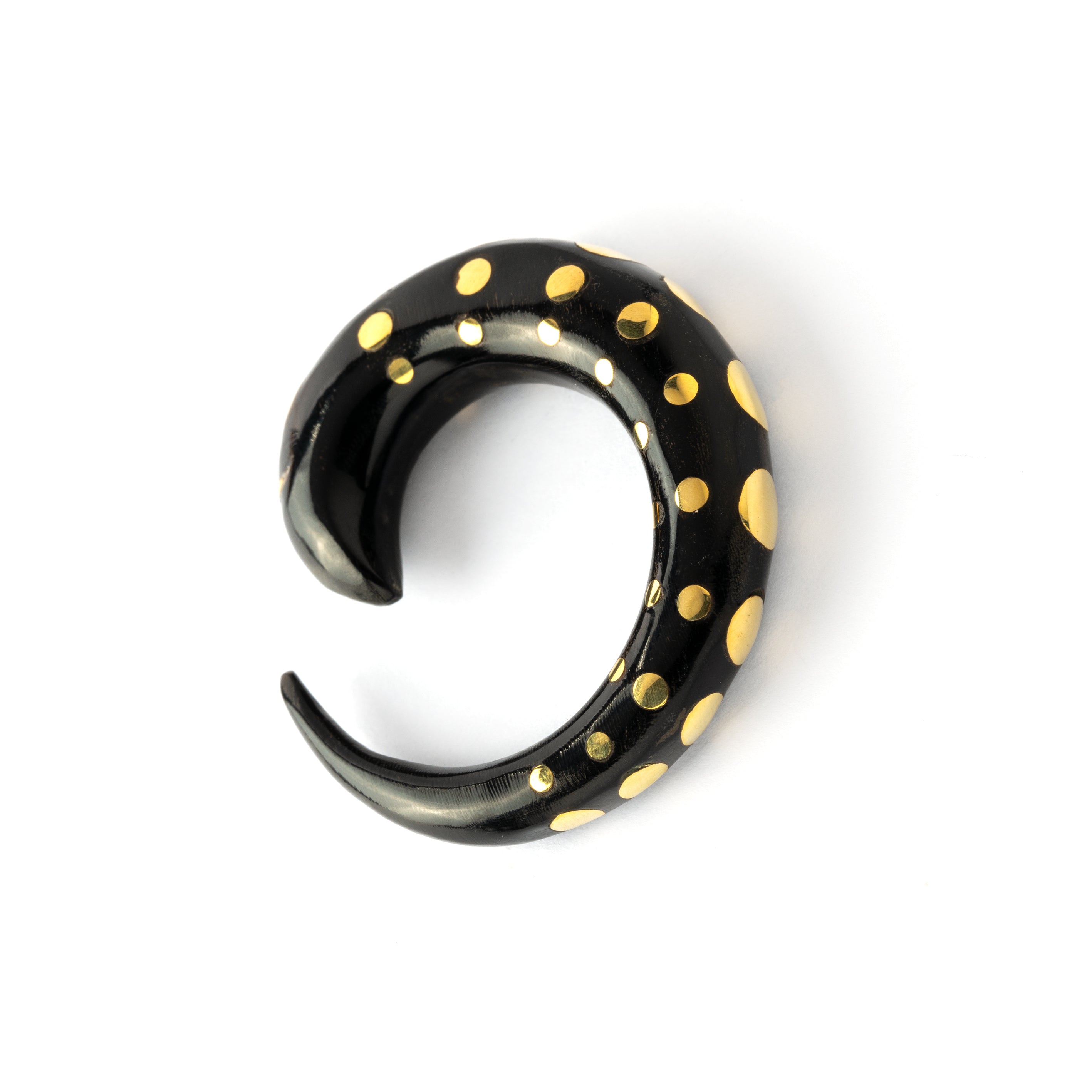 black horn taper ear stretcher with golden dots right side back view