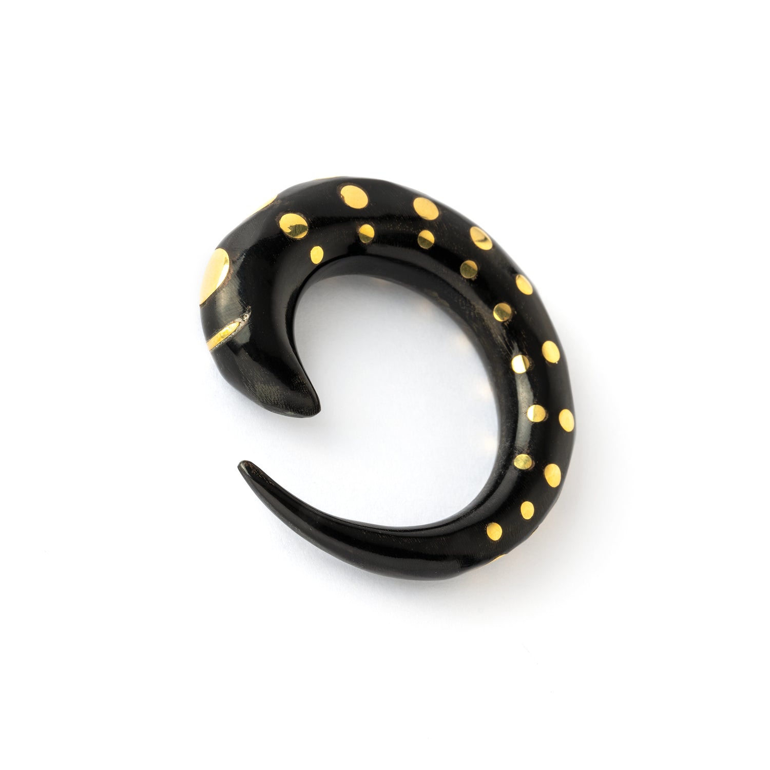 black horn taper ear stretcher with golden dots right side front view