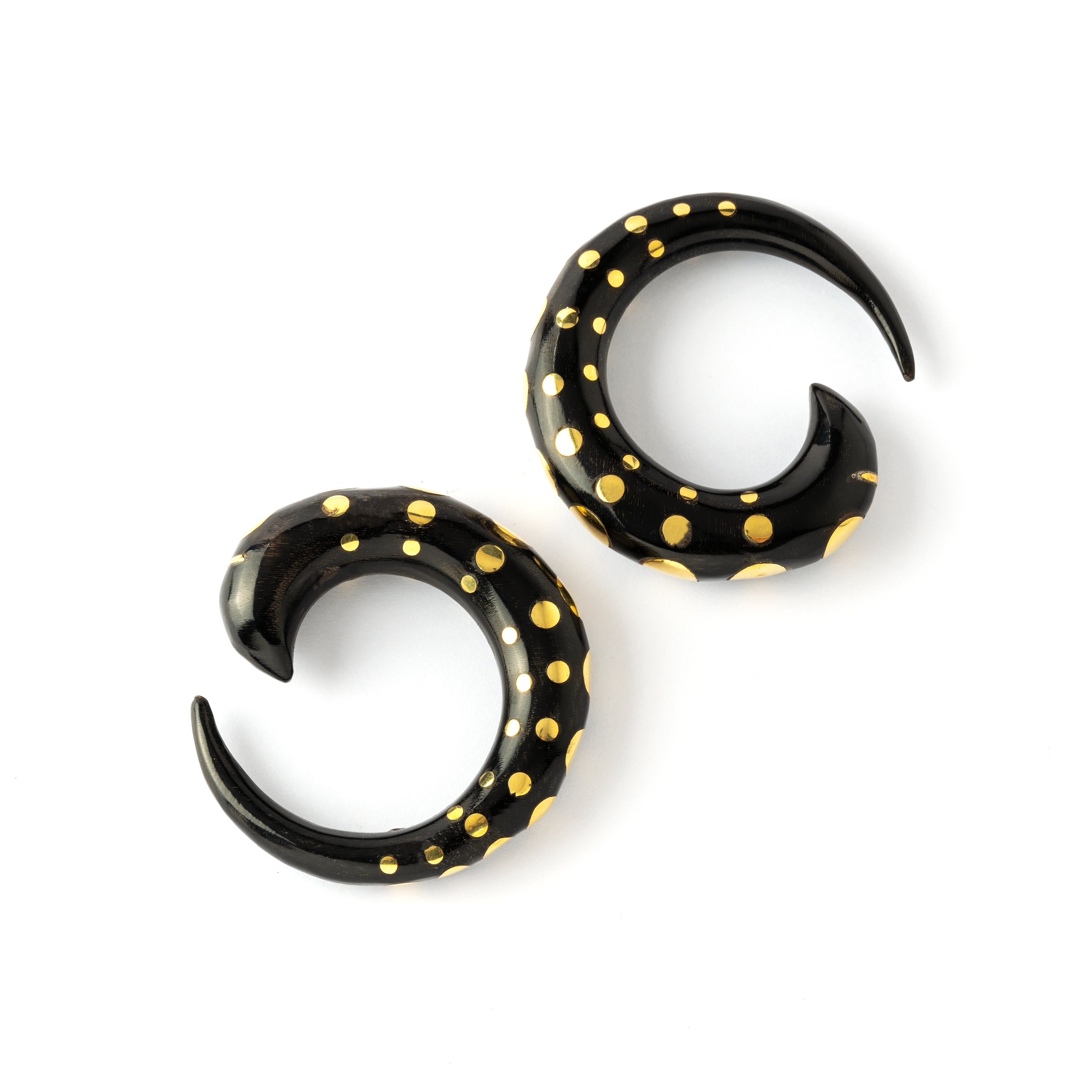 black horn taper ear stretchers with golden dots  side view