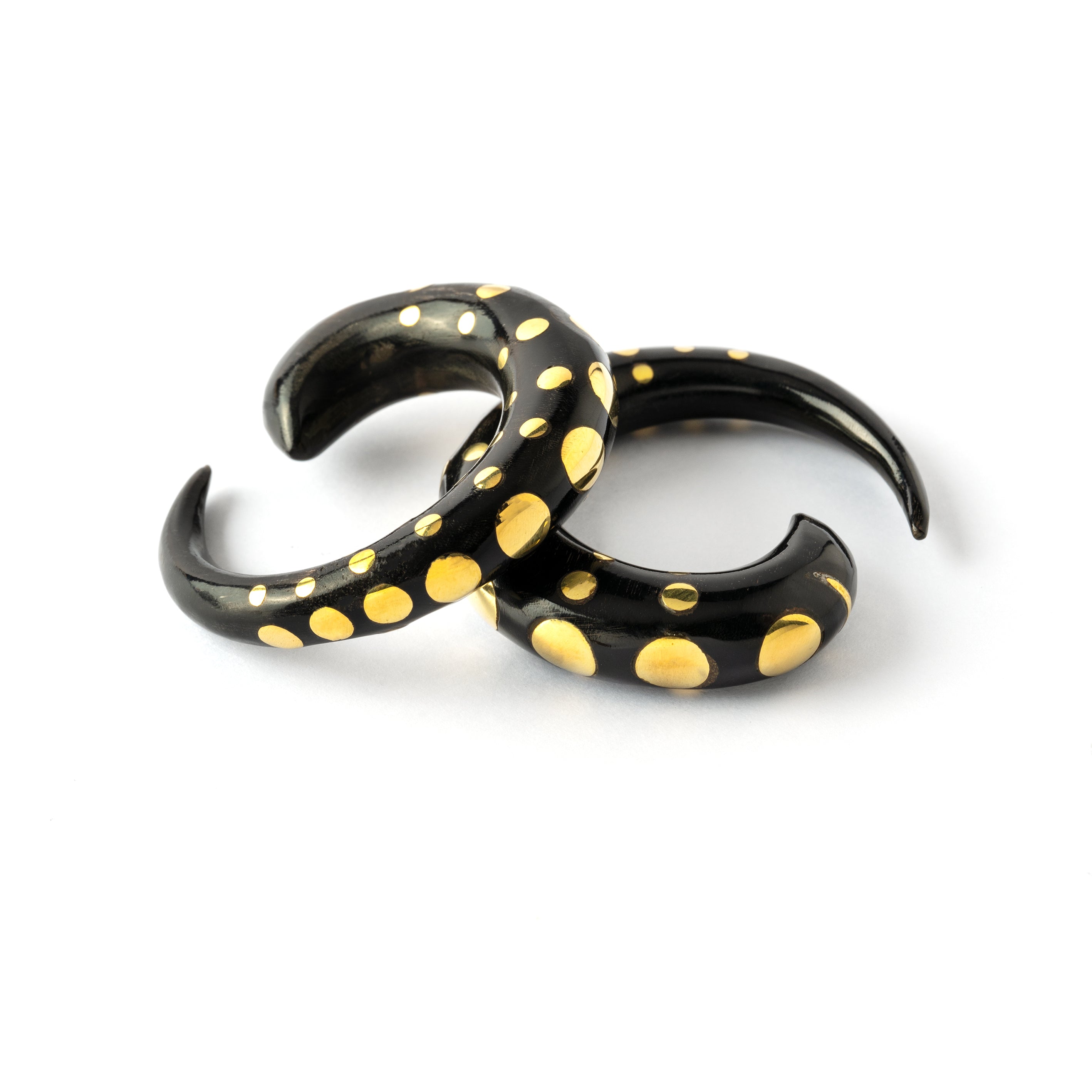 black horn taper ear stretchers with golden dots
