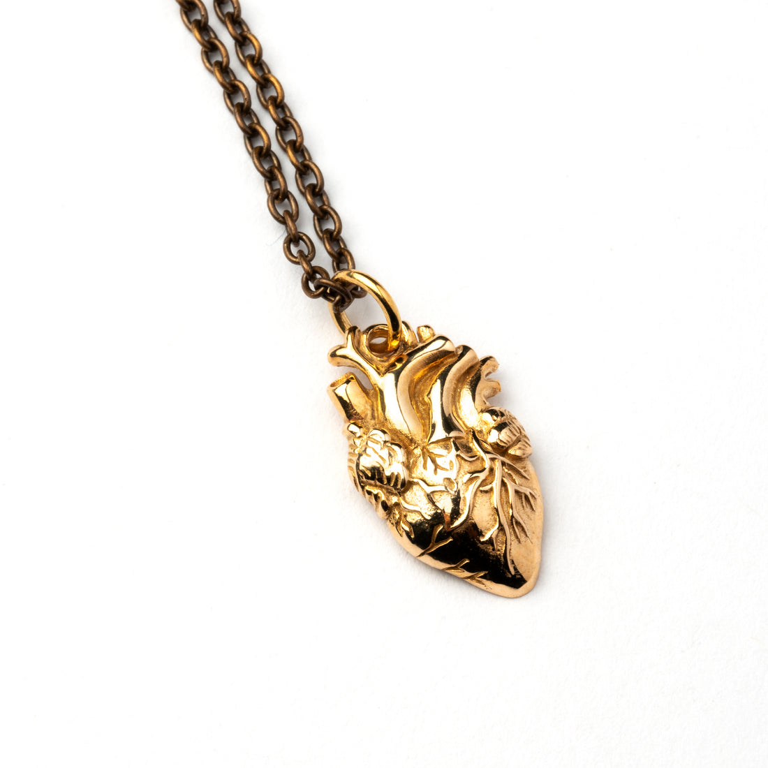 bronze anatomical heart charm necklace on a bronze chain