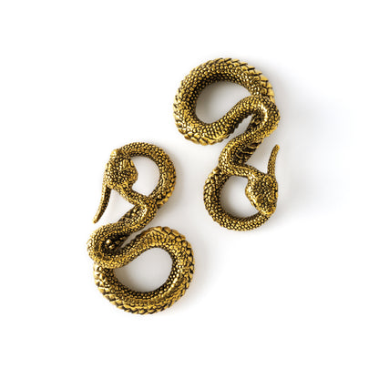 pair of antique gold colour snake ear weights hangers in infinity shape front view