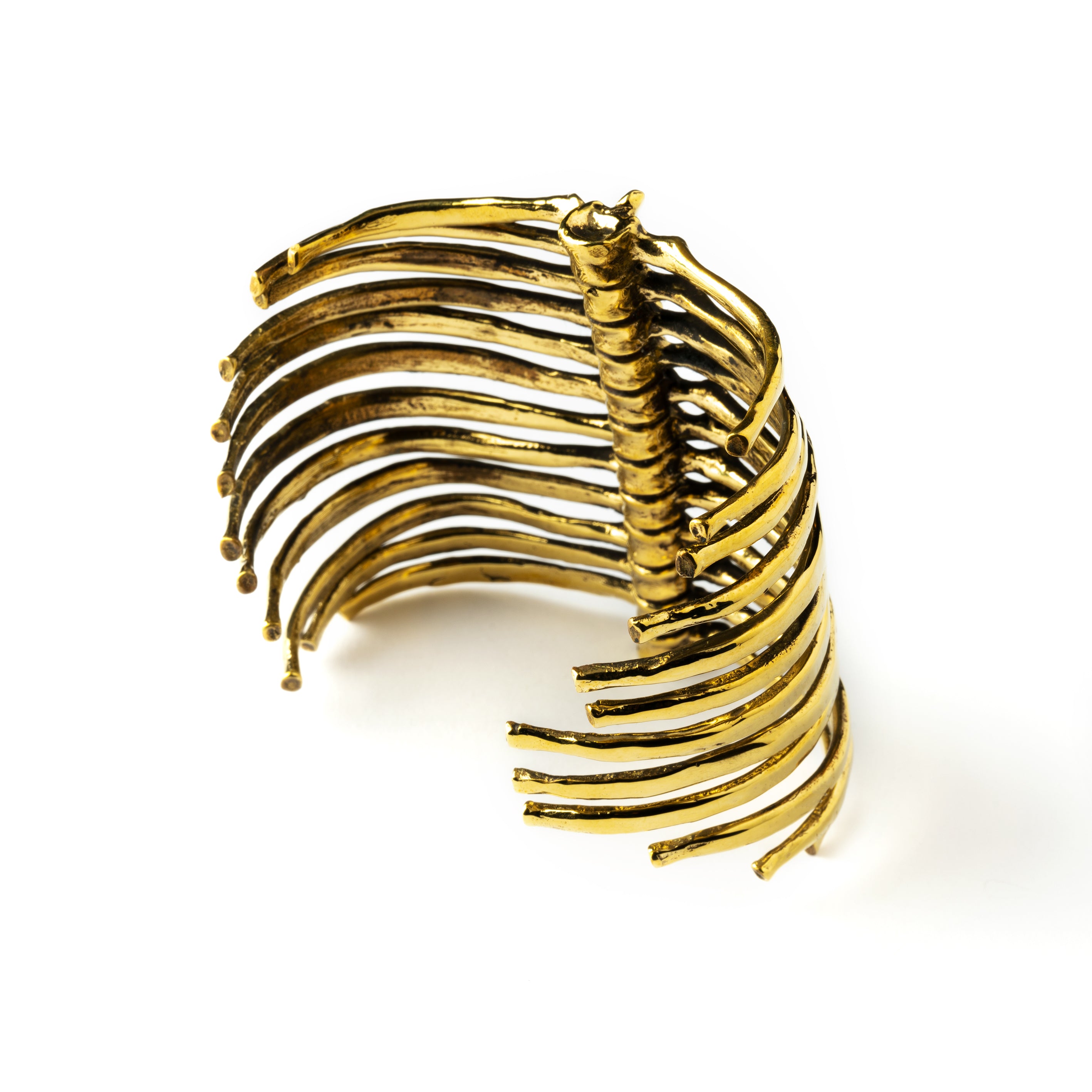 Golden-skeleton-vertebral-column-cuff_3