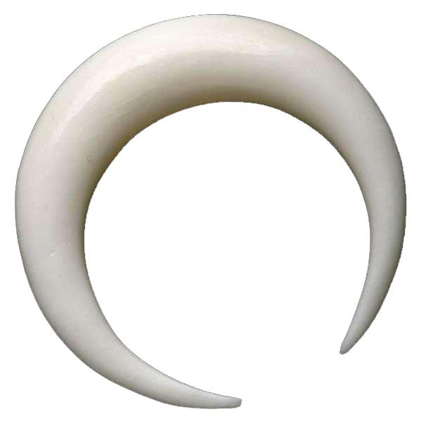 Bone Circular Hook Earrings