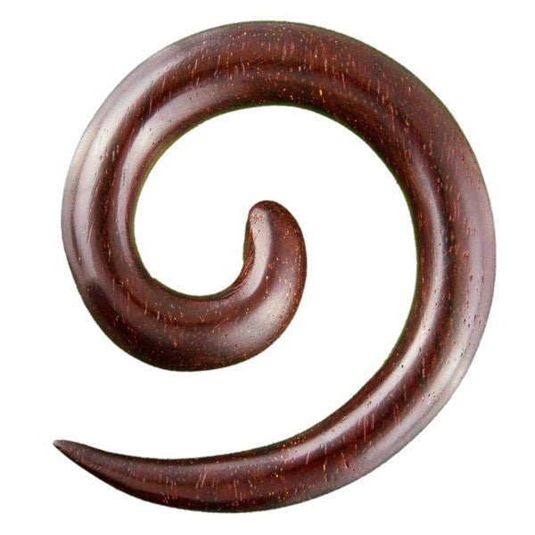 Koru Spiral Wood Ear Stretcher