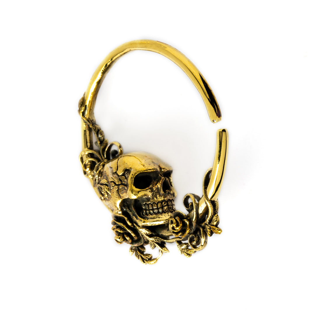 Immortal golden hoop weight hanger right front view
