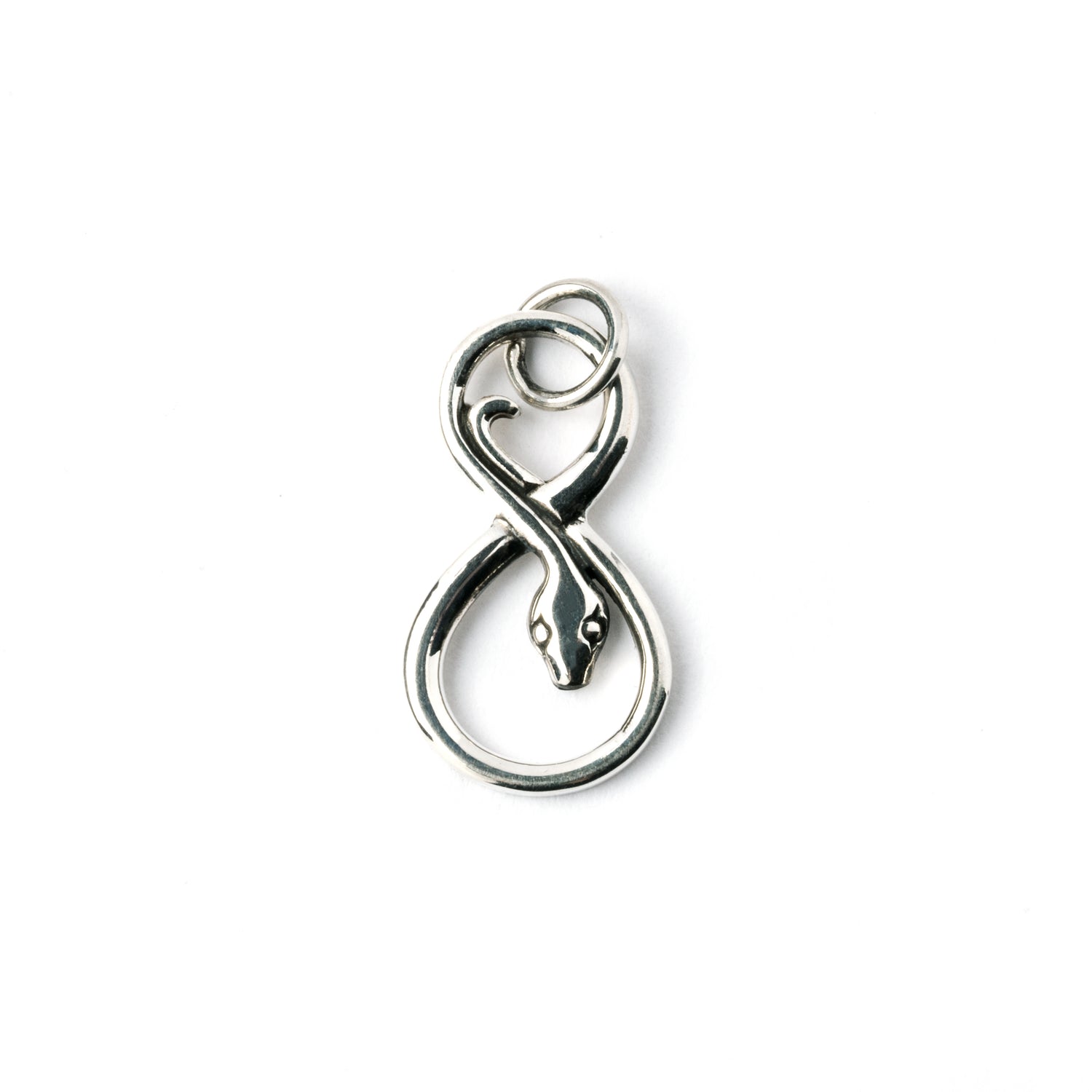 Infinity Silver Snake Charm necklace frontal view