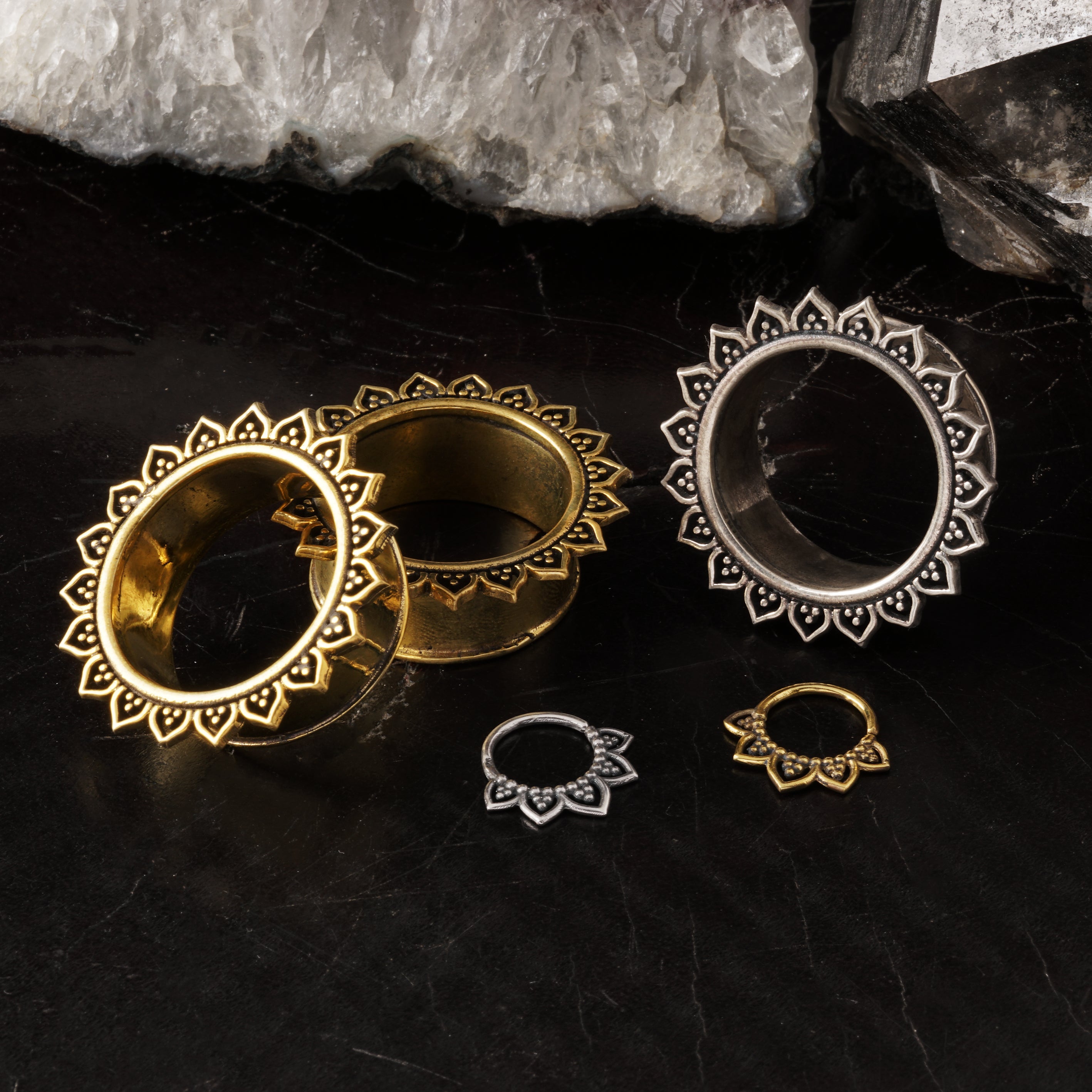 Iriya Silver and brass Septum Rings with matching ear tunnels 