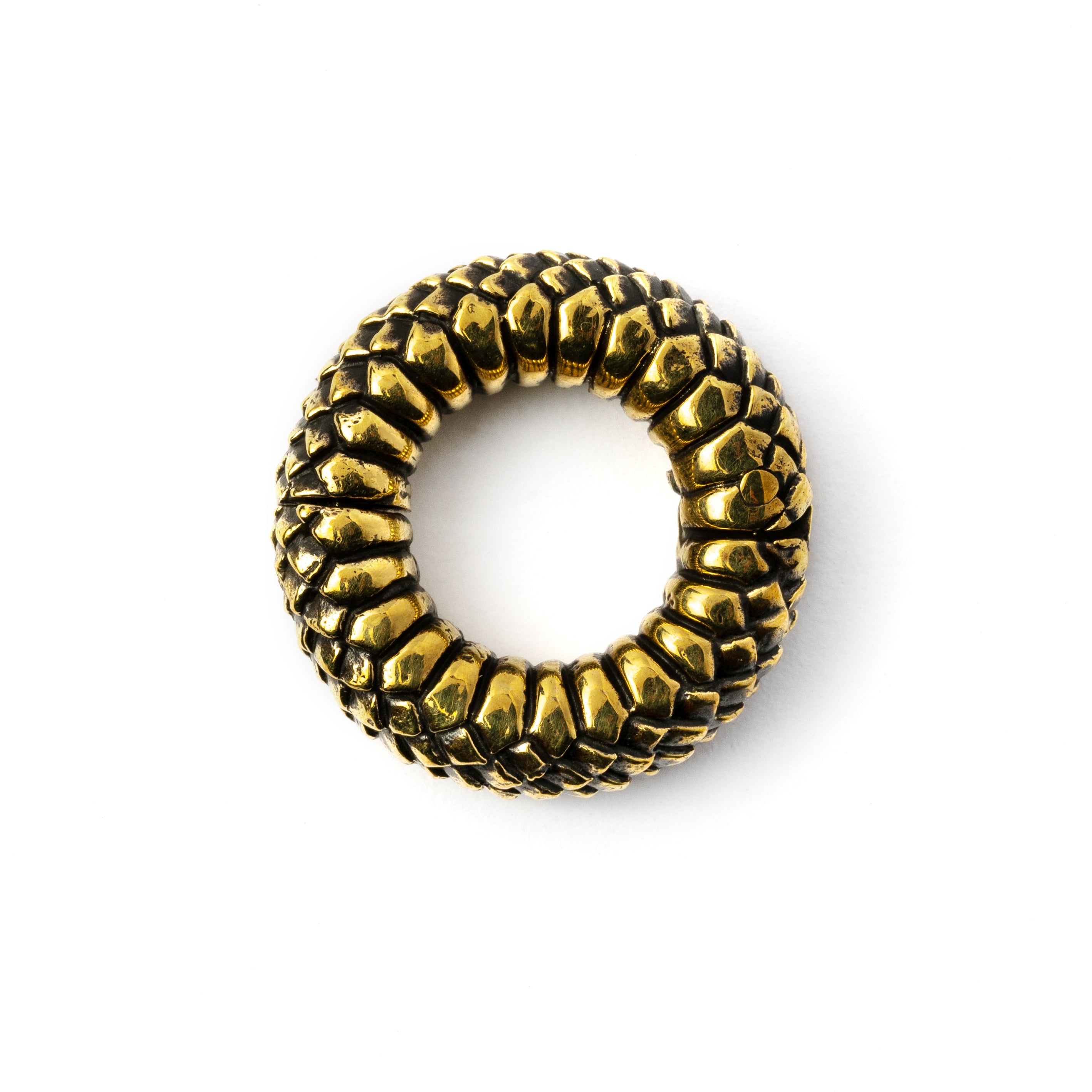 single gold brass snakes scales ear weight hoop frontal view